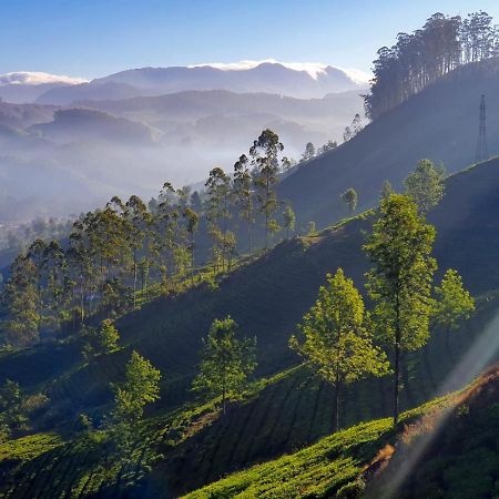 Grace Inn Munnar Homestay Exterior photo